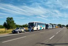 Detro registra seis apreensões em ação no Norte e Noroeste do RJ