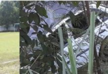 Motorista morre após sofrer acidente no distrito de São João do Paraíso