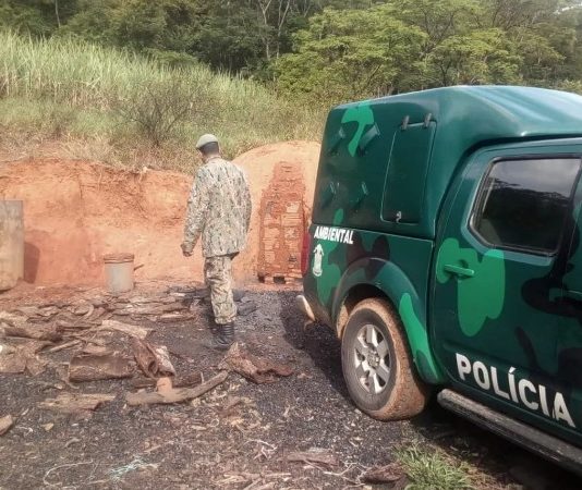 Polícia Ambiental flagra carvoaria sem licença em Retiro do Muriaé