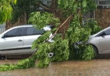 Chuva forte derruba poste, árvores e arrebenta fios em Itaperuna