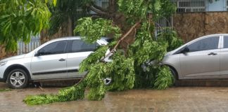 Chuva forte derruba poste, árvores e arrebenta fios em Itaperuna