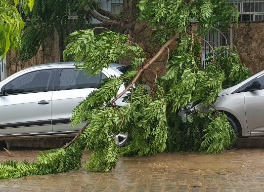 Chuva forte derruba poste, árvores e arrebenta fios em Itaperuna
