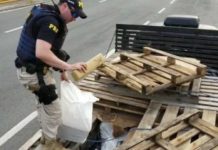 Mais de uma tonelada de maconha é apreendida dentro de caminhão no RJ