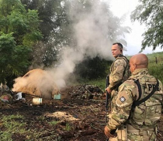 Trabalho escravo é combatido em municípios do RJ