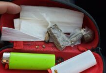 BPRv apreende drogas na RJ-216