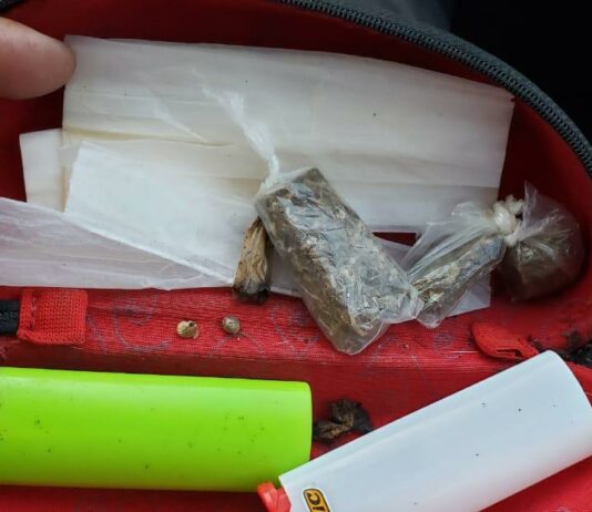 BPRv apreende drogas na RJ-216