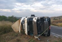 Carreta carregada de carne tomba entre Itaperuna e Italva