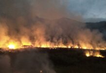 Bombeiros combatem incêndios em Natividade e Porciúncula