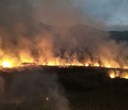 Bombeiros combatem incêndios em Natividade e Porciúncula
