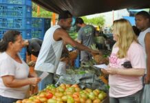 Feira Livre de Itaperuna foi transferida para domingo