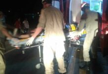 Motociclista atropela vaca na BR-356 em Itaperuna