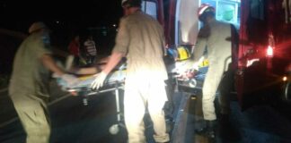 Motociclista atropela vaca na BR-356 em Itaperuna