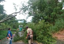 Chuva e vendaval interrompem a RJ-116 em Miracema