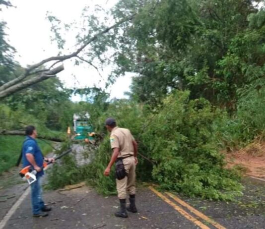 Chuva e vendaval interrompem a RJ-116 em Miracema
