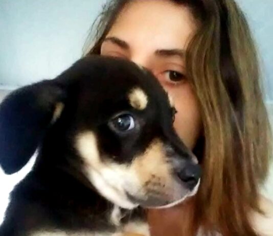 Jovem mata filhote de cachorro e posta vídeo com justificativa