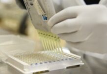 Sobe para 23 os casos confirmados de COVID-19 em Itaperuna, com 9 pessoas curadas