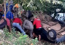 Acidente faz 4 vítimas fatais na RJ-186 entre Itaperuna e Bom Jesus do Itabapoana