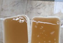 CEDAE é questionada quanto a qualidade da água distribuída em Itaperuna