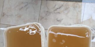 CEDAE é questionada quanto a qualidade da água distribuída em Itaperuna