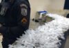 Polícia Militar apreende cerca de mil buchas de maconha em Itaperuna