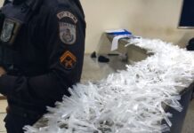 Polícia Militar apreende cerca de mil buchas de maconha em Itaperuna