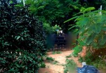 Pai e filho são mortos na zona rural de Retiro do Muriaé