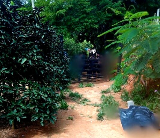Pai e filho são mortos na zona rural de Retiro do Muriaé
