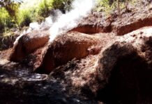 Polícia ambiental interdita carvoaria ilegal em Miracema