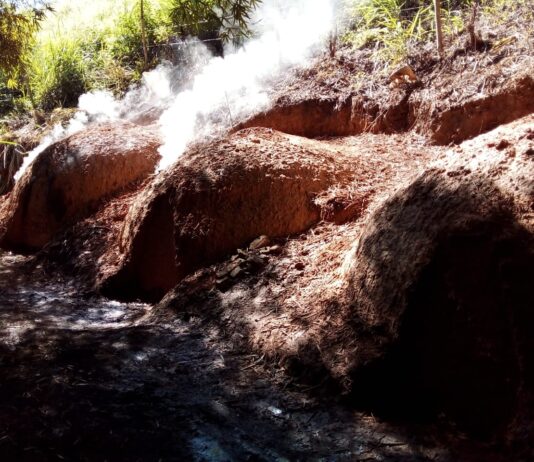 Polícia ambiental interdita carvoaria ilegal em Miracema