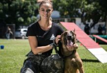 Morre em Itaperuna o cão Iron que estrelou na “A Força do Querer” da Rede Globo