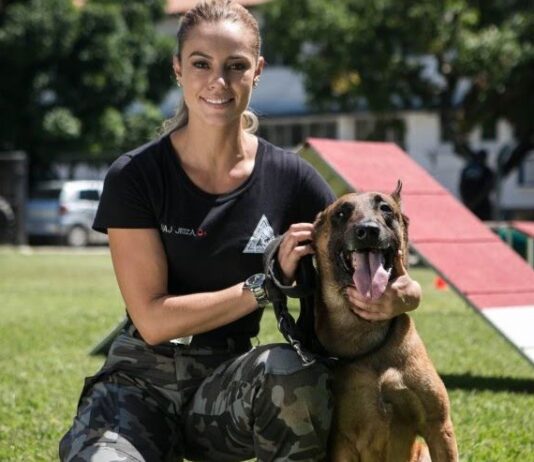 Morre em Itaperuna o cão Iron que estrelou na “A Força do Querer” da Rede Globo