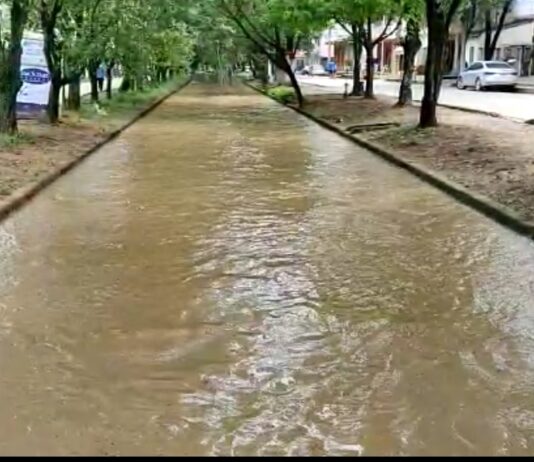 Defesa Civil emite alerta de deslizamentos e transbordamento de rios da região