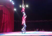 Le Petit Cirque despede de Itaperuna na noite deste domingo (03/04)