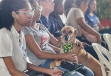 Alunos de Medicina Veterinária da Unig apresentam projeto em colégio de Itaperuna
