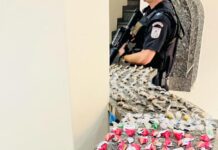 PM prende traficante e apreende drogas em Pádua