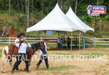 Em Itaperuna, “Programa Equoterapia Pedra Preta” se destaca
