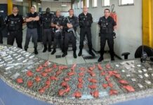 Itaperuna: Arma, munições, drogas e radiotransmissor encontrados sobre laje de residência