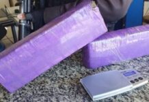 Casal é preso com dois quilos de drogas em Cardoso Moreira