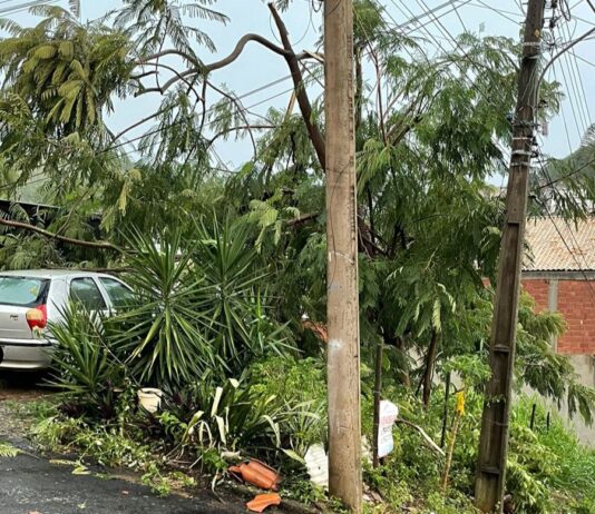 INMET emite alerta de vendaval para a região
