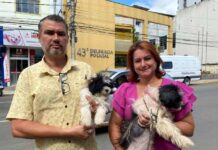 Itaperuna promove Campanha de Adoção de Animais