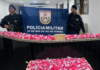 Ação do 29º BPM intercepta mulher com grande quantidade de drogas na Rodoviária de Itaperuna