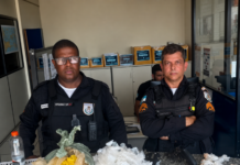 Ação da PM em Italva: revólver, crack e material para tráfico são apreendidos em pastagem