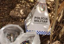 Operação do 29º BPM apreende drogas no Morro do Castelo após denúncia em Itaperuna