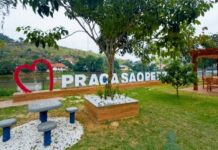 Itaperuna recebe ação social com serviços gratuitos e distribuição de 5 mil mudas nativas da Mata Atlântica