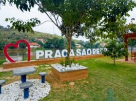 Itaperuna recebe ação social com serviços gratuitos e distribuição de 5 mil mudas nativas da Mata Atlântica