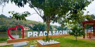 Itaperuna recebe ação social com serviços gratuitos e distribuição de 5 mil mudas nativas da Mata Atlântica