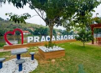 Itaperuna recebe ação social com serviços gratuitos e distribuição de 5 mil mudas nativas da Mata Atlântica