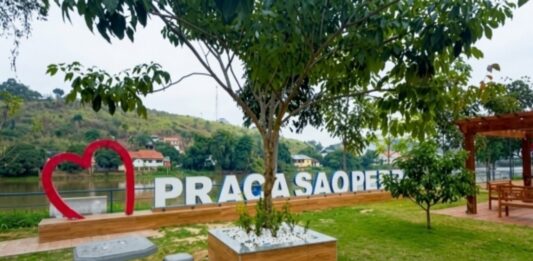 Itaperuna recebe ação social com serviços gratuitos e distribuição de 5 mil mudas nativas da Mata Atlântica