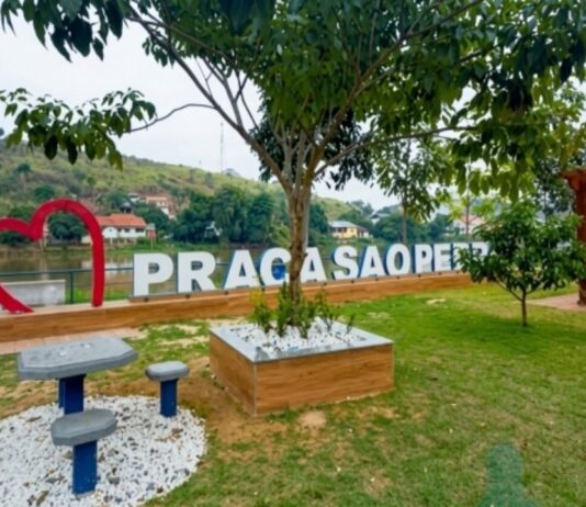 Itaperuna recebe ação social com serviços gratuitos e distribuição de 5 mil mudas nativas da Mata Atlântica